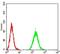 Ubiquitin Like With PHD And Ring Finger Domains 1 antibody, NBP2-61838, Novus Biologicals, Flow Cytometry image 