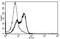 CD58 Molecule antibody, AM31246PU-N, Origene, Flow Cytometry image 