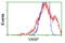 Vasodilator Stimulated Phosphoprotein antibody, LS-C172706, Lifespan Biosciences, Flow Cytometry image 