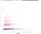 Growth Differentiation Factor 3 antibody, 38-156, ProSci, Western Blot image 