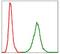 Neurofilament Light antibody, GTX60541, GeneTex, Flow Cytometry image 