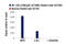Nuclear Factor Kappa B Subunit 2 antibody, 37359S, Cell Signaling Technology, Chromatin Immunoprecipitation image 