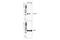 Calponin 1 antibody, 17819S, Cell Signaling Technology, Western Blot image 