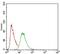 Paraoxonase 1 antibody, NBP2-37307, Novus Biologicals, Flow Cytometry image 