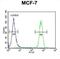 Cell Division Cycle 37 antibody, abx034179, Abbexa, Flow Cytometry image 