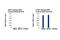 Heat Shock Transcription Factor 1 antibody, 4356P, Cell Signaling Technology, Chromatin Immunoprecipitation image 