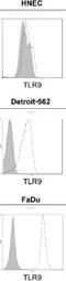 Toll Like Receptor 9 antibody, NBP2-24907, Novus Biologicals, Flow Cytometry image 