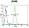 RAD17 Checkpoint Clamp Loader Component antibody, abx026396, Abbexa, Flow Cytometry image 