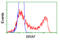 B-Raf Proto-Oncogene, Serine/Threonine Kinase antibody, LS-C114917, Lifespan Biosciences, Flow Cytometry image 