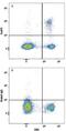 FOXP3 antibody, MAB8214, R&D Systems, Flow Cytometry image 