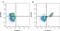 TRAC antibody, MCA453EL, Bio-Rad (formerly AbD Serotec) , Flow Cytometry image 