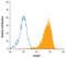 SMAD Family Member 4 antibody, MAB2097, R&D Systems, Flow Cytometry image 