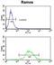 Major Histocompatibility Complex, Class II, DR Alpha antibody, abx032993, Abbexa, Flow Cytometry image 