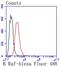 B-Raf Proto-Oncogene, Serine/Threonine Kinase antibody, NBP2-67469, Novus Biologicals, Flow Cytometry image 