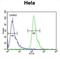 POTE Ankyrin Domain Family Member H antibody, abx032369, Abbexa, Flow Cytometry image 