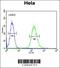 Clathrin Heavy Chain antibody, 62-101, ProSci, Flow Cytometry image 