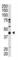 SUMO1 Activating Enzyme Subunit 1 antibody, abx031607, Abbexa, Western Blot image 