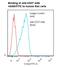 CD37 Molecule antibody, LS-C134413, Lifespan Biosciences, Flow Cytometry image 