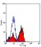 CD244 Molecule antibody, MA5-16486, Invitrogen Antibodies, Flow Cytometry image 