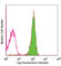 CD48 Molecule antibody, 336706, BioLegend, Flow Cytometry image 