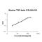 Transforming Growth Factor Beta 2 antibody, EK0981-EQ, Boster Biological Technology, Enzyme Linked Immunosorbent Assay image 