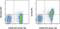 Activated Leukocyte Cell Adhesion Molecule antibody, 17-1661-82, Invitrogen Antibodies, Flow Cytometry image 