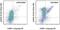 H2A Histone Family Member X antibody, 50-9865-41, Invitrogen Antibodies, Flow Cytometry image 