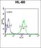 DNA Ligase 4 antibody, orb214190, Biorbyt, Flow Cytometry image 