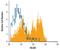 Melanoma Cell Adhesion Molecule antibody, MAB7718, R&D Systems, Flow Cytometry image 