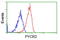 Pyrroline-5-Carboxylate Reductase 2 antibody, GTX83753, GeneTex, Flow Cytometry image 