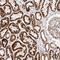 NADH:Ubiquinone Oxidoreductase Subunit V3 antibody, HPA030427, Atlas Antibodies, Immunohistochemistry frozen image 