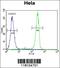 Mediator Complex Subunit 7 antibody, 56-144, ProSci, Flow Cytometry image 