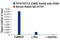 Transcription Factor 7 Like 2 antibody, 2565S, Cell Signaling Technology, Chromatin Immunoprecipitation image 