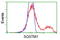 Sequestosome 1 antibody, LS-C172546, Lifespan Biosciences, Flow Cytometry image 