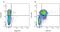 Ig gamma-2B chain C region antibody, STAR134, Bio-Rad (formerly AbD Serotec) , Enzyme Linked Immunosorbent Assay image 