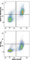 TNF Receptor Superfamily Member 13C antibody, MAB1755, R&D Systems, Flow Cytometry image 