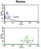 Eukaryotic Translation Initiation Factor 2A antibody, abx034403, Abbexa, Flow Cytometry image 