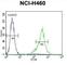 T-SNARE Domain Containing 1 antibody, abx026200, Abbexa, Western Blot image 