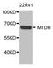 Metadherin antibody, STJ29926, St John