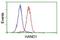 Heart And Neural Crest Derivatives Expressed 1 antibody, NBP2-00576, Novus Biologicals, Flow Cytometry image 