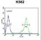 Testis Expressed 13B antibody, LS-C161810, Lifespan Biosciences, Flow Cytometry image 