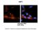 ADP Ribosylation Factor 3 antibody, ARP48184_P050, Aviva Systems Biology, Immunohistochemistry frozen image 