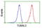 Tubulin Alpha Like 3 antibody, LS-C173415, Lifespan Biosciences, Flow Cytometry image 