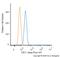 Basic Helix-Loop-Helix Family Member E40 antibody, NB100-1800AF647, Novus Biologicals, Flow Cytometry image 