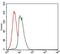 GRB2 Associated Binding Protein 1 antibody, NBP2-37742, Novus Biologicals, Flow Cytometry image 