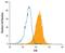 FYN Binding Protein 1 antibody, MAB38571, R&D Systems, Flow Cytometry image 