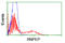 Arginyl Aminopeptidase antibody, LS-C173537, Lifespan Biosciences, Flow Cytometry image 