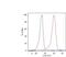 Keratin 18 antibody, MA1-10326, Invitrogen Antibodies, Flow Cytometry image 