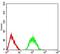 Glutamate Ionotropic Receptor AMPA Type Subunit 2 antibody, NBP2-61775, Novus Biologicals, Flow Cytometry image 