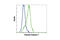 Caspase 7 antibody, 8438S, Cell Signaling Technology, Flow Cytometry image 